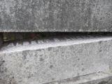 image of grave number 665292